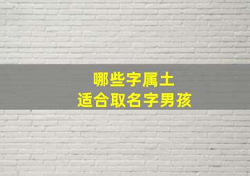 哪些字属土 适合取名字男孩